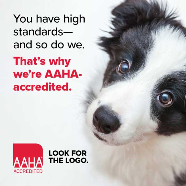 AAHA Accredited