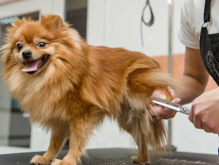 The importance of a good haircut!