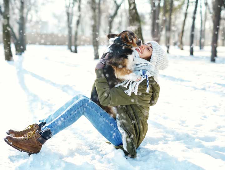 Keeping our Pets Active When the Winter Winds Blow